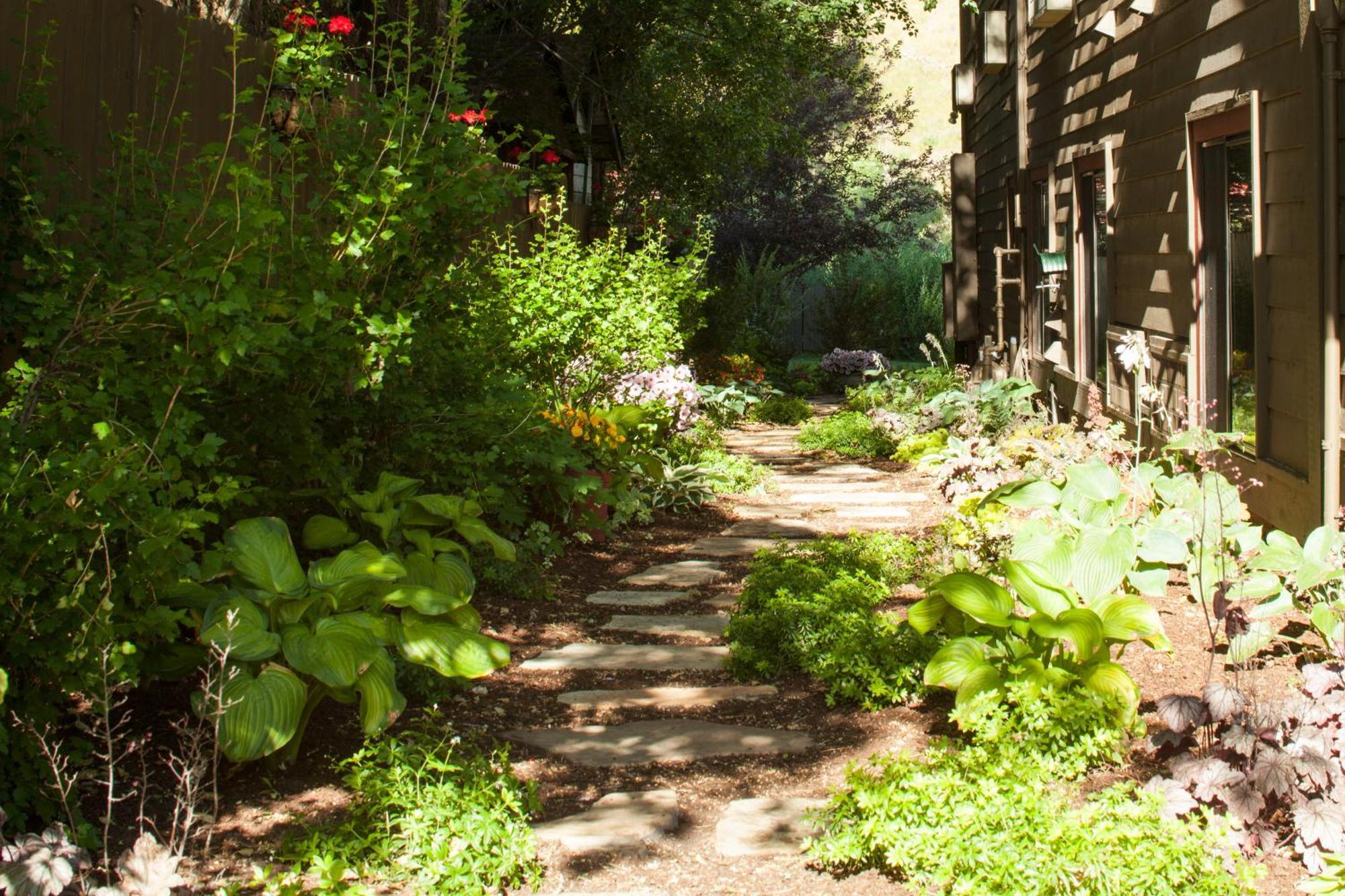 Inn On The Creek ジャクソン エクステリア 写真
